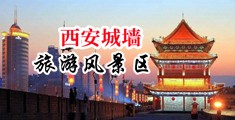 色网我操日子宫屄中国陕西-西安城墙旅游风景区